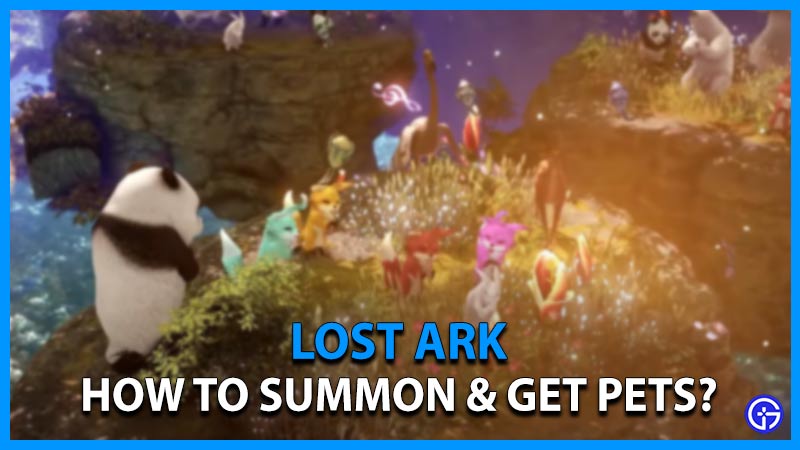lost ark pets how to summon and get them