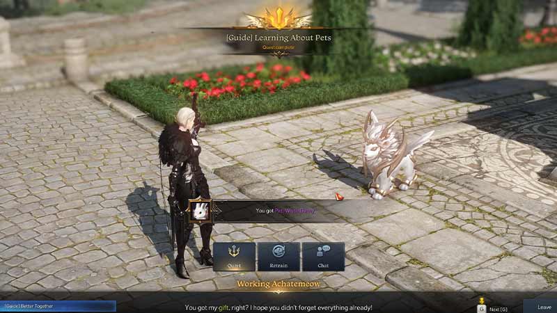 lost ark summon and get pets