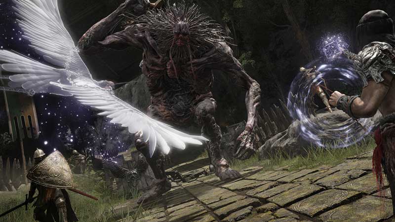 Elden Ring Multiplayer Not Working 