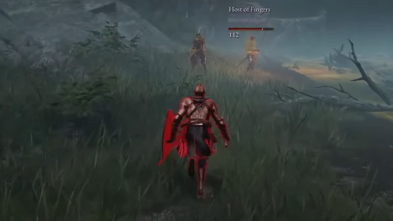 elden ring invasion survive