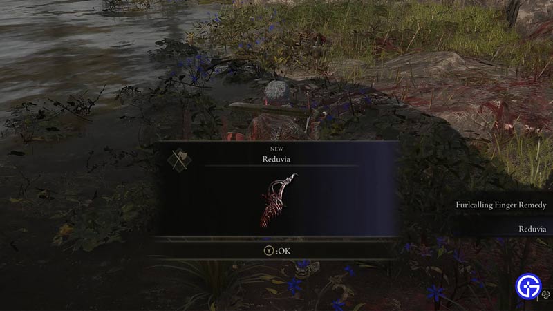 elden ring best runes farming method