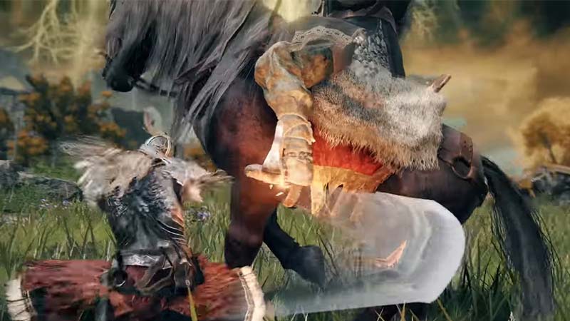 elden ring rivers of blood bug fix