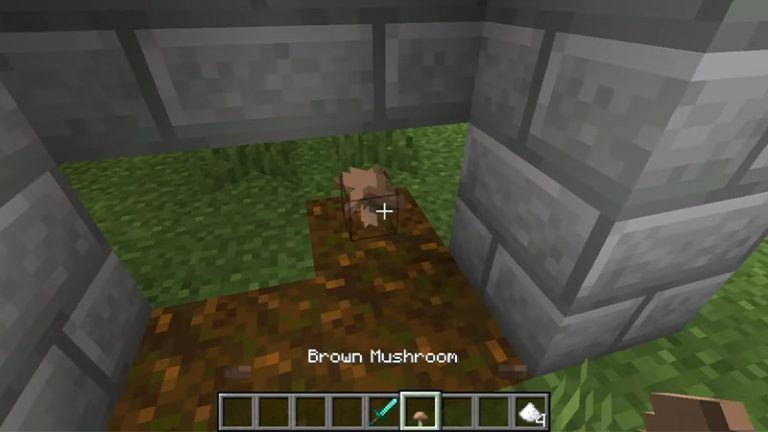 How To Get Brown Mushrooms In Minecraft - Gamer Tweak
