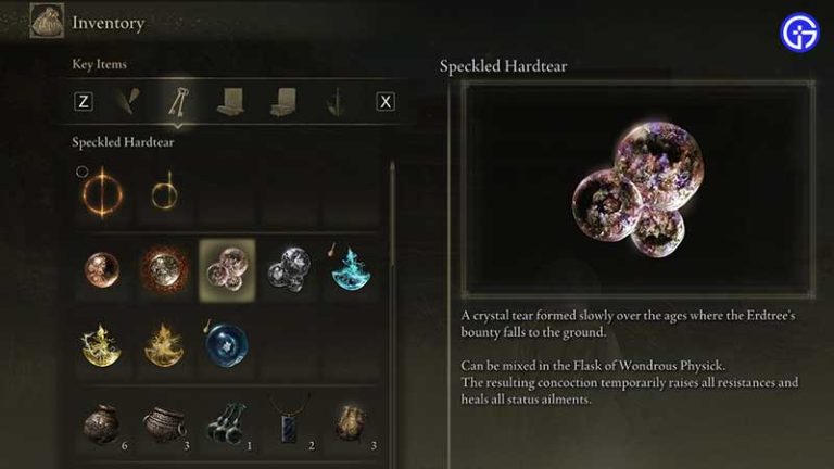 How To Reduce & Cure Scarlet Rot In Elden Ring - Gamer Tweak