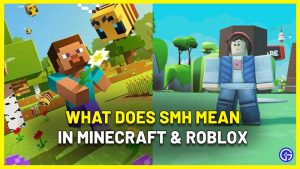 What Is The Meaning Of SMH In Minecraft Roblox What Does SMH Mean In Minecraft Roblox 300x169 