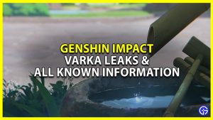 All Information About Varka in Genshin Impact & Leaks - Gamer Tweak