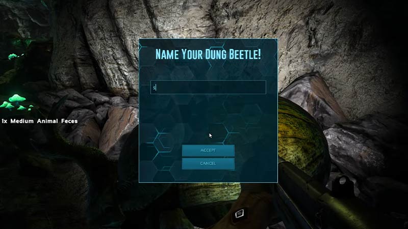 ark fjordur dung beetle