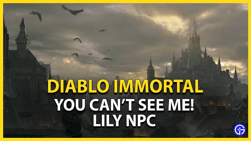 diablo immortal lily npc you cant see me