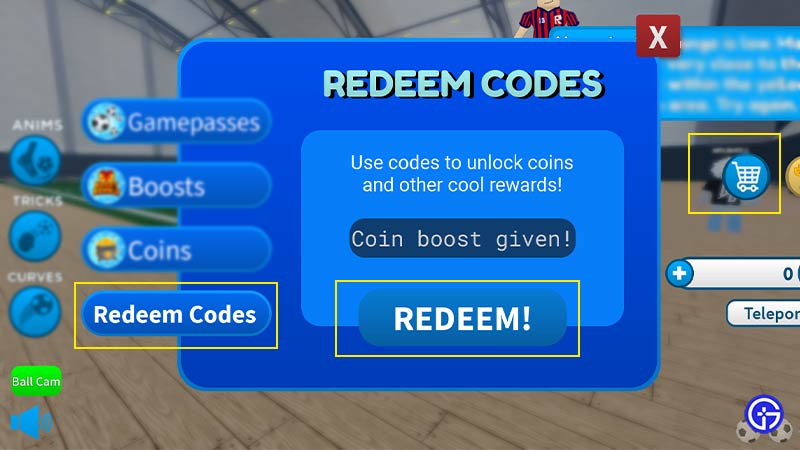 goal simulator codes