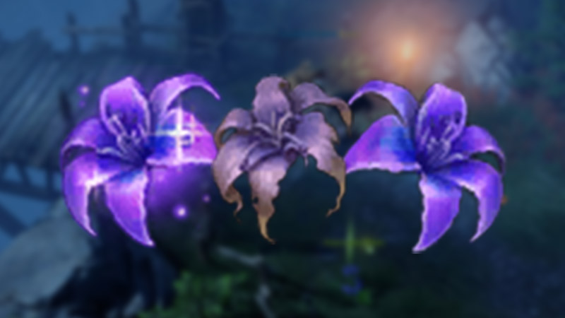 Best Place To Forage Flowers In Lost Ark