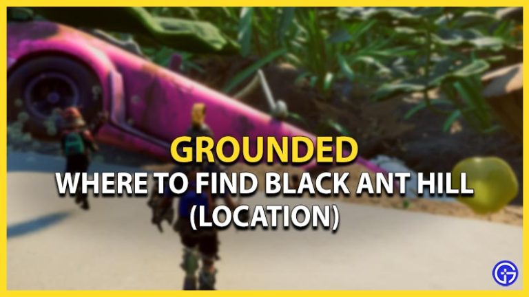 Where To Find The Black Ant Hill In Grounded - Gamer Tweak