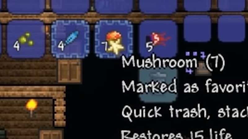 Terraria Favorite Items