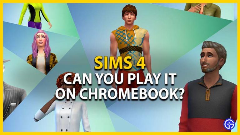 Can I Play Sims 4 On A Chromebook? (Answered) - Gamer Tweak