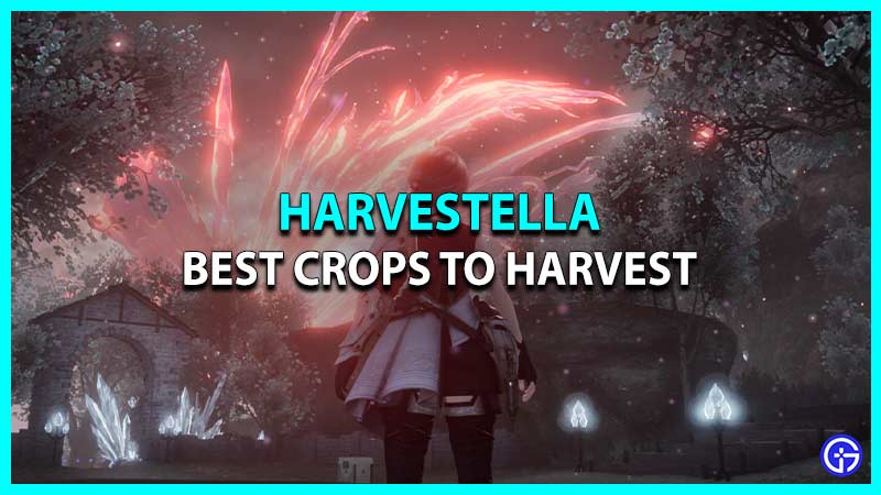 Best Harvestella Crops To Harvest & Plant