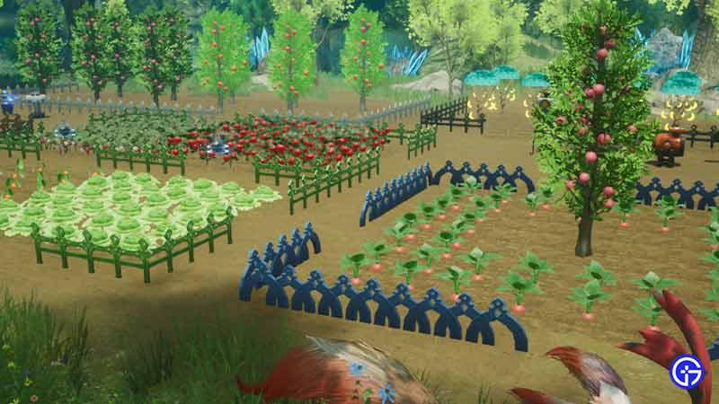 Best Harvestella Crops To Harvest