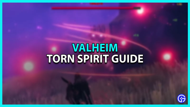 Torn Spirit in Valheim