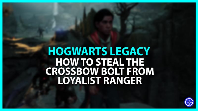 How To Steal Crossbow Bolt From The Loyalist Ranger In Hogwarts Legacy