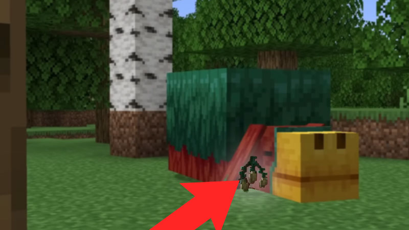 How to Use Sniffer to Find Seeds in Minecraft 1.20