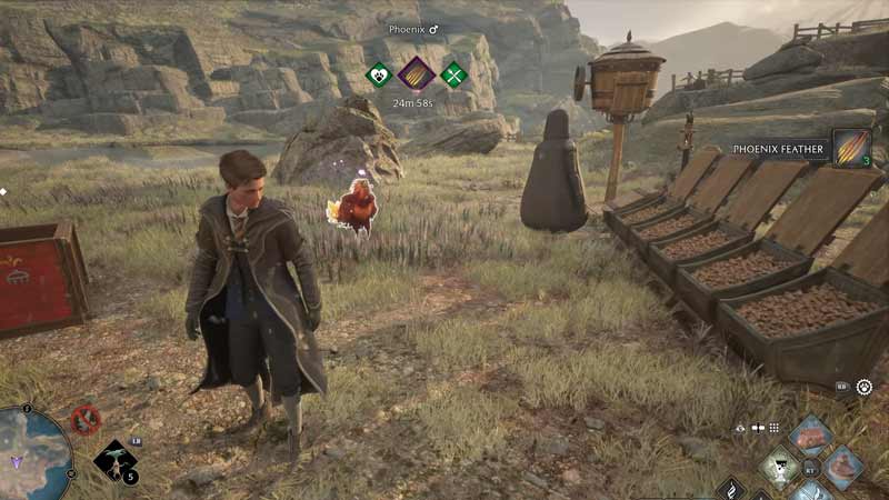 Catch Phoenix to get Phoenix Feathers