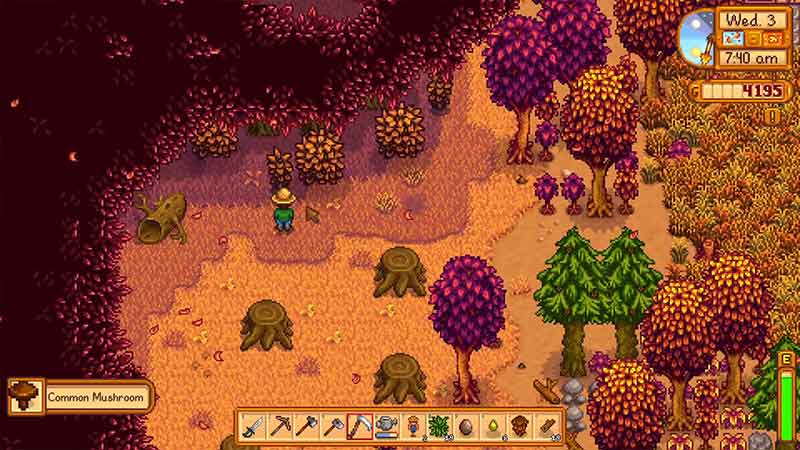 forest farm stardew valley