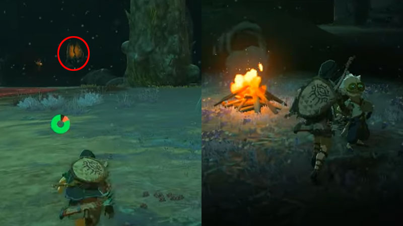 Iayusus Lightroot Loctaion Camera Work in the Depths quest