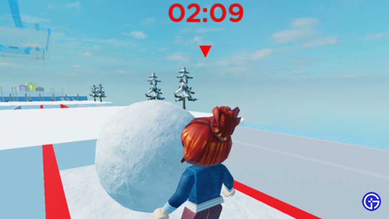 Snow Race Codes Play