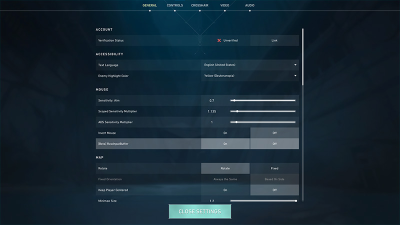 Raw Input Buffer in Valorant