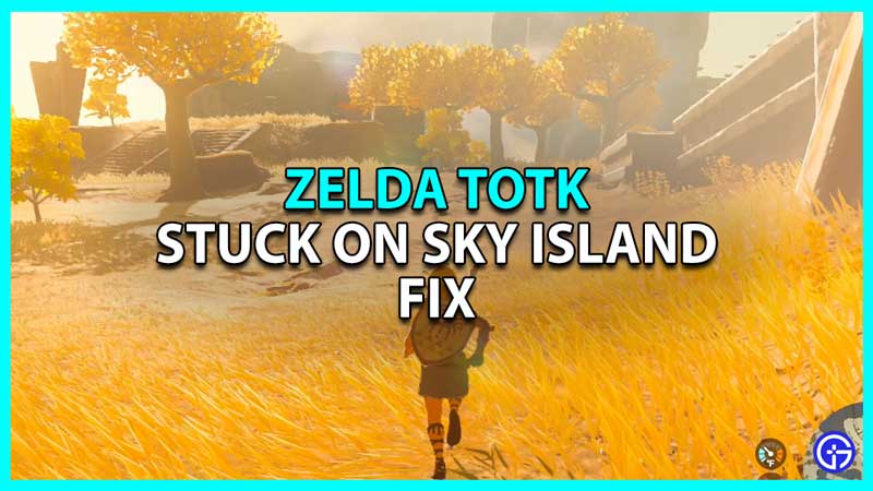Zelda Tears of the Kingdom Stuck on Sky Island Fix