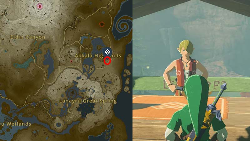 buy rooms for links house in tears of the kingom