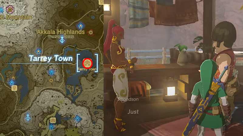 get plot for links house in zelda totk