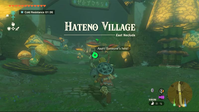 Hateno Village location in Zelda ToTK