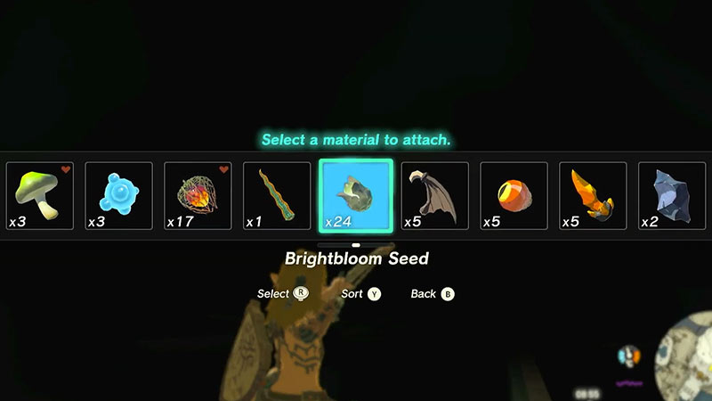 How to use Brightbloom Seeds in ToTK