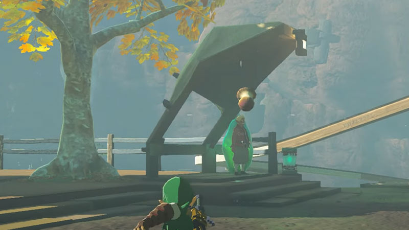 throw flower to guard to ride the rail for free 