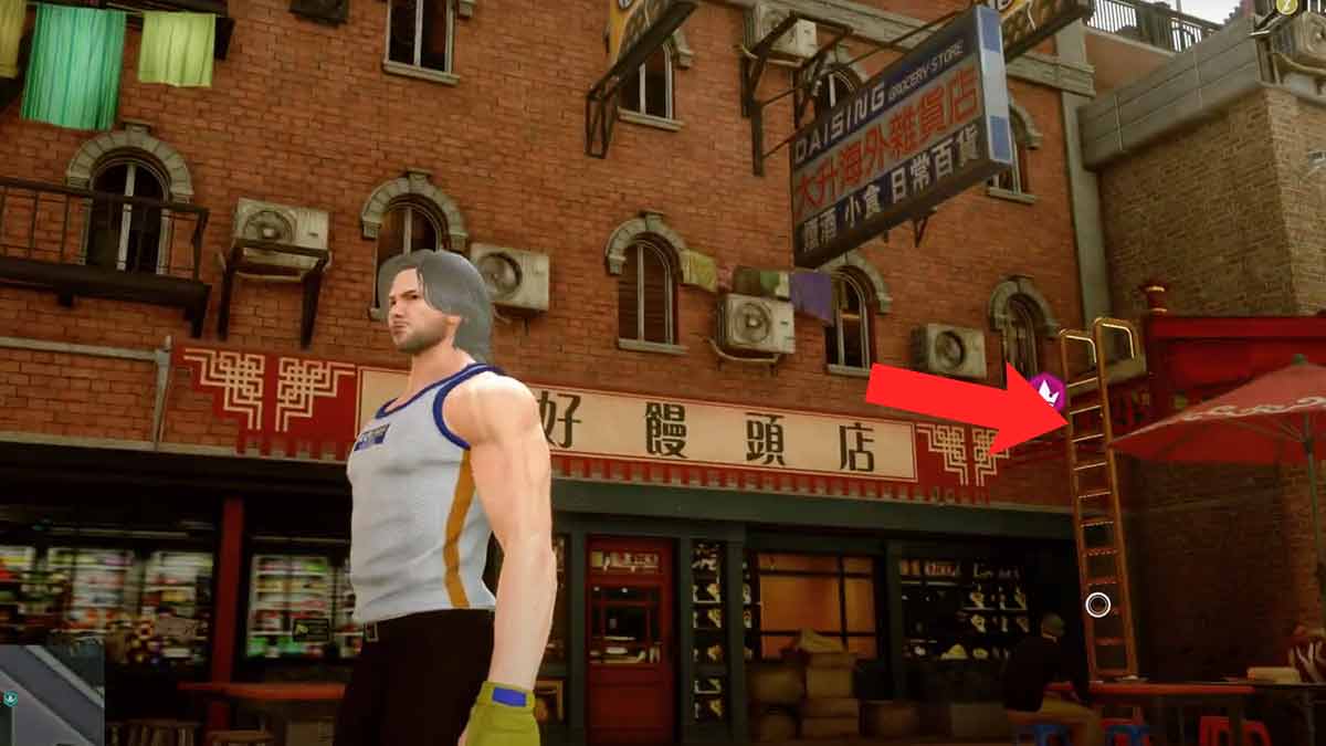 ladder to reach the Canary Crate Gang Boss SF6