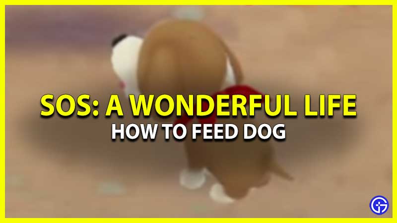 How To Feed Dog SoS AWL