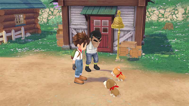 How To Feed Dog Story of Seasons A Wonderful Life
