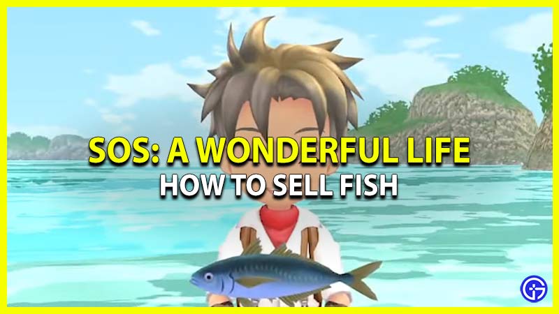 how to sell fish in story of seasons a wonderful life