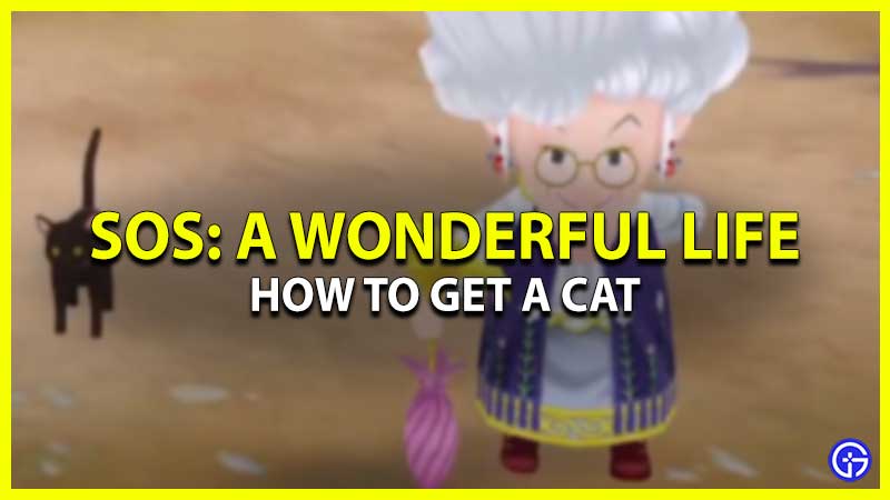 Get Pet Cat SoS A Wonderful Life