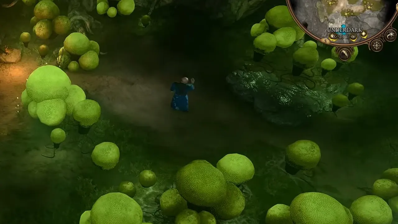 Save Baelen Bonecloak What to Do With Noblestalk Mushroom in BG3