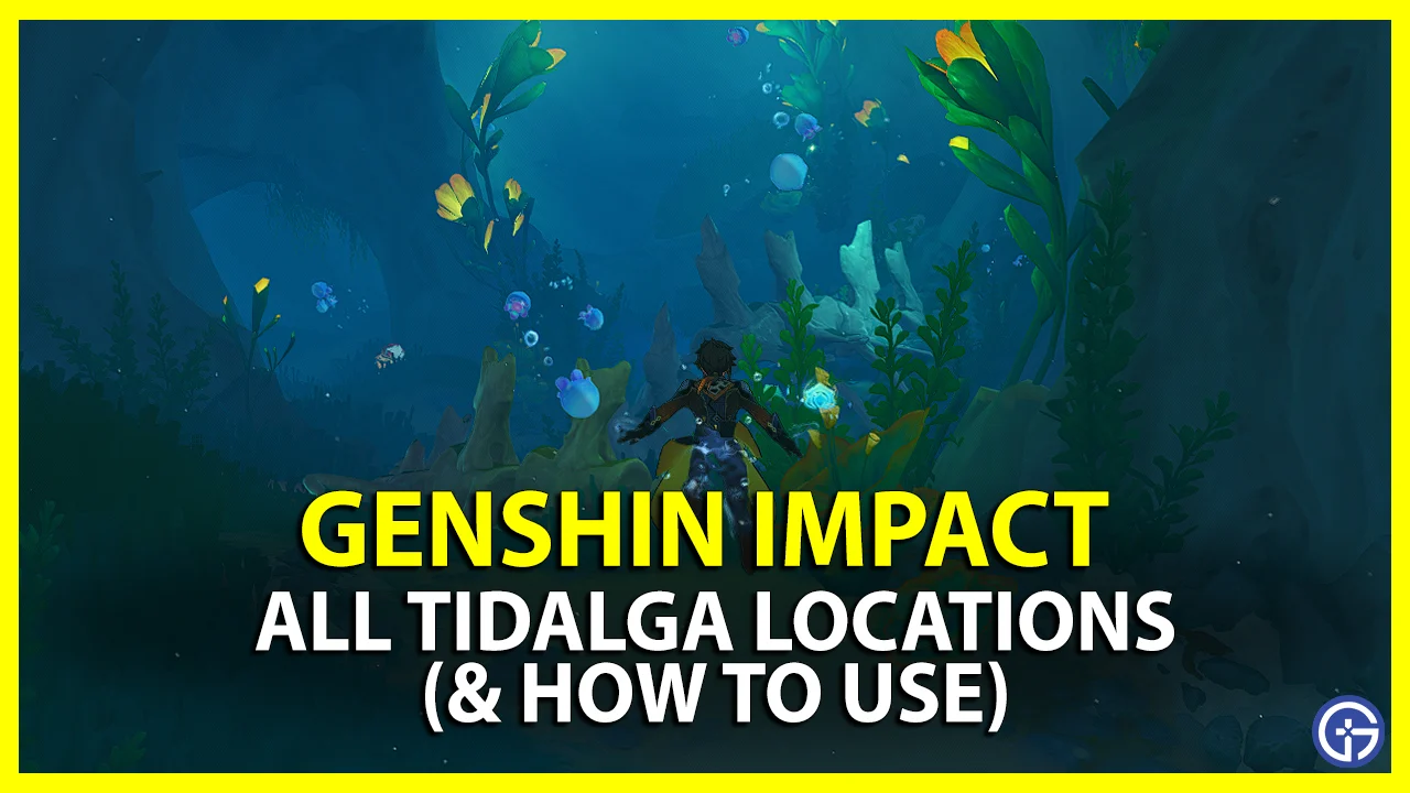 tidalga location genshin impact