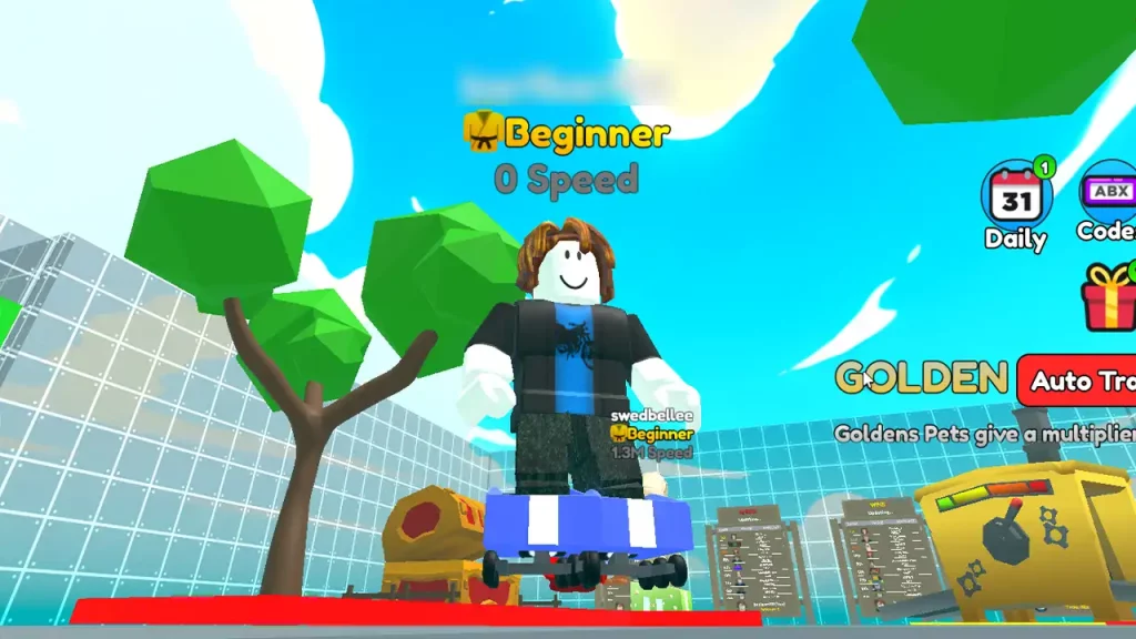 Roller Race Simulator Codes