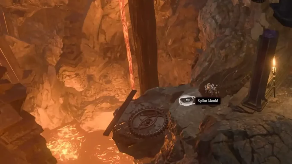 Where To Find Splint Mould In Baldur's Gate 3