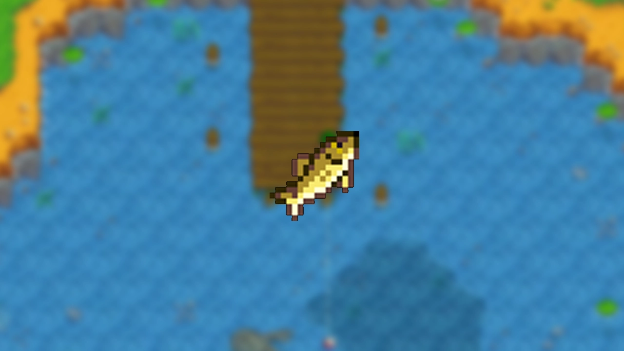 where to find walleye in stardew valley