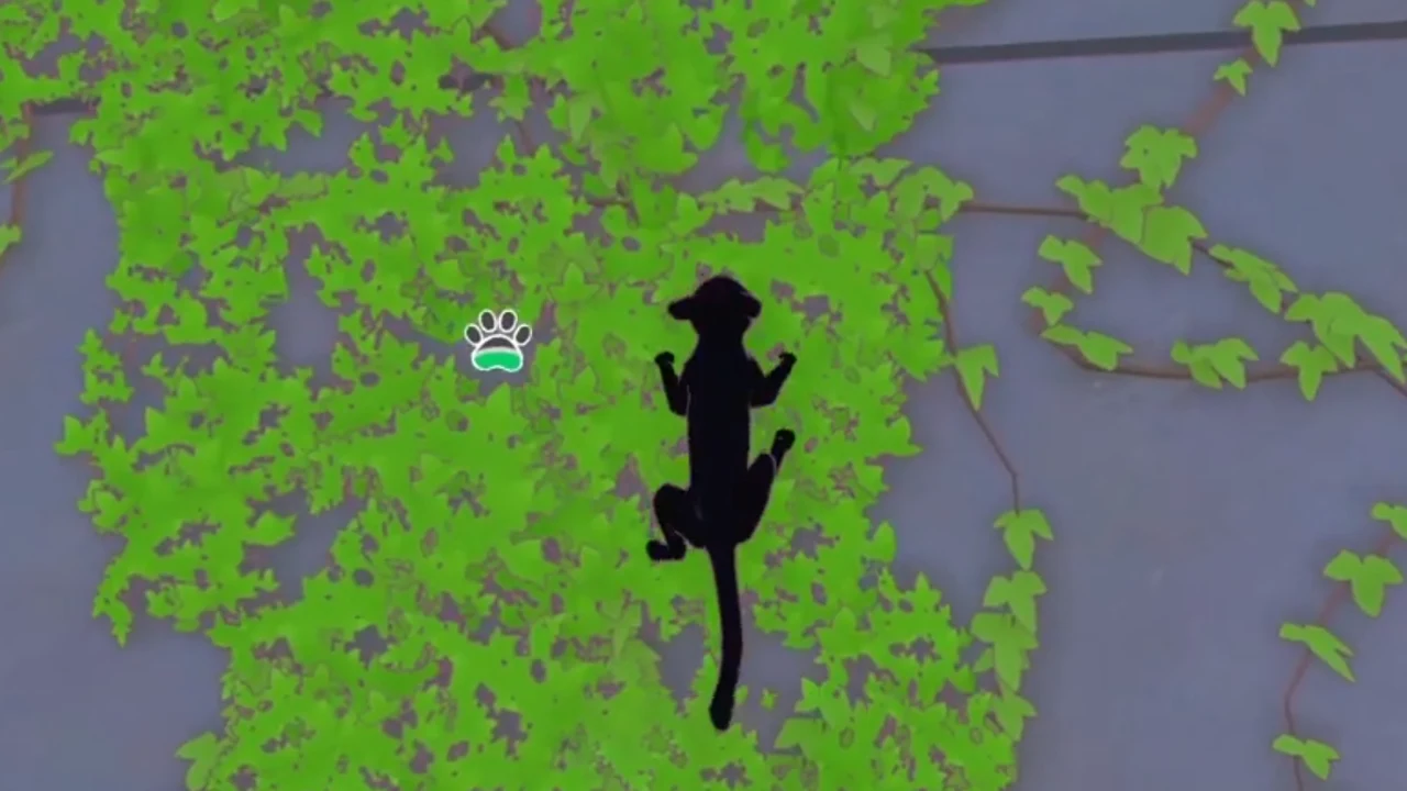 Little Kitty Big City How To Climb Vines