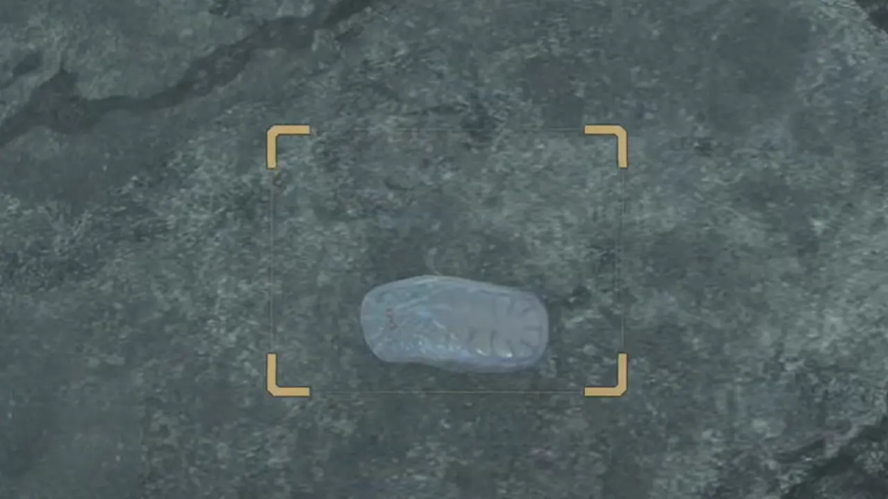 MH Wilds Gillopod