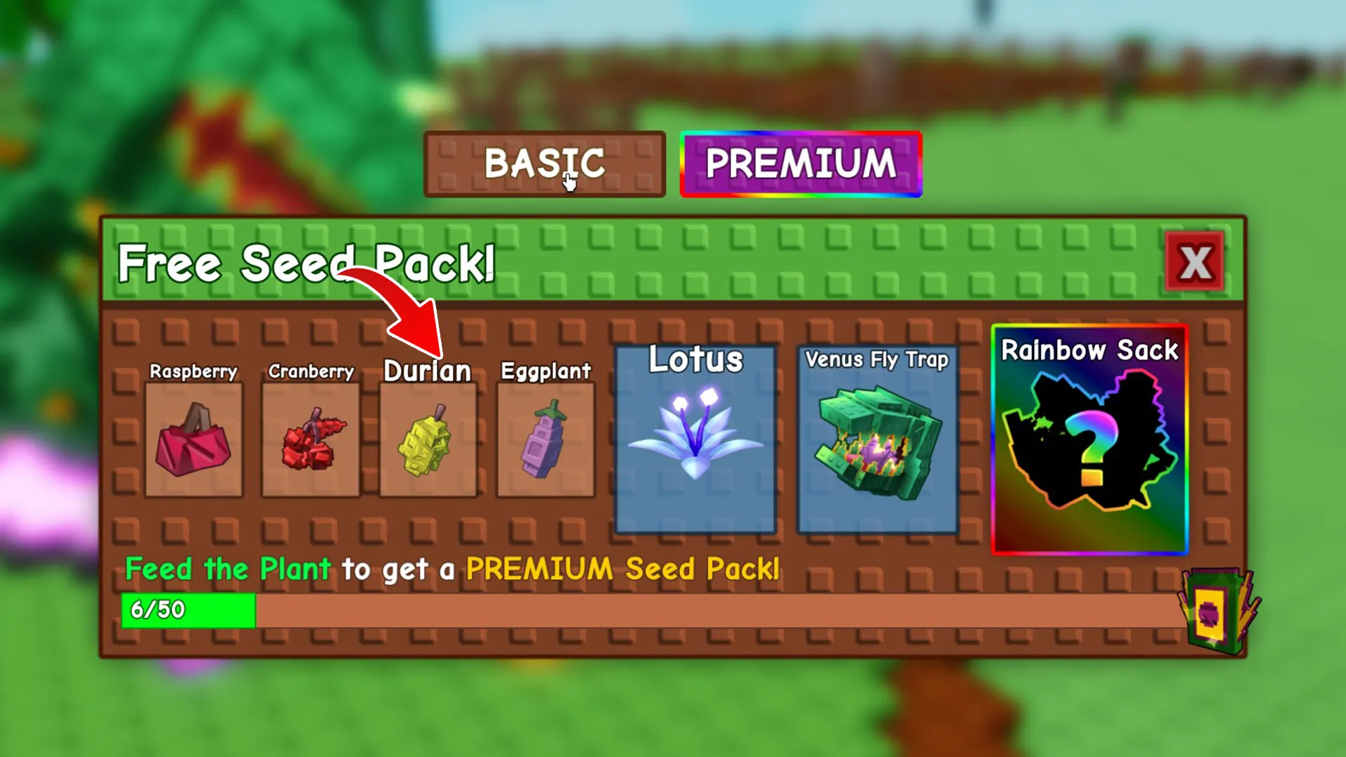 durian in basic seed pack grow a garden