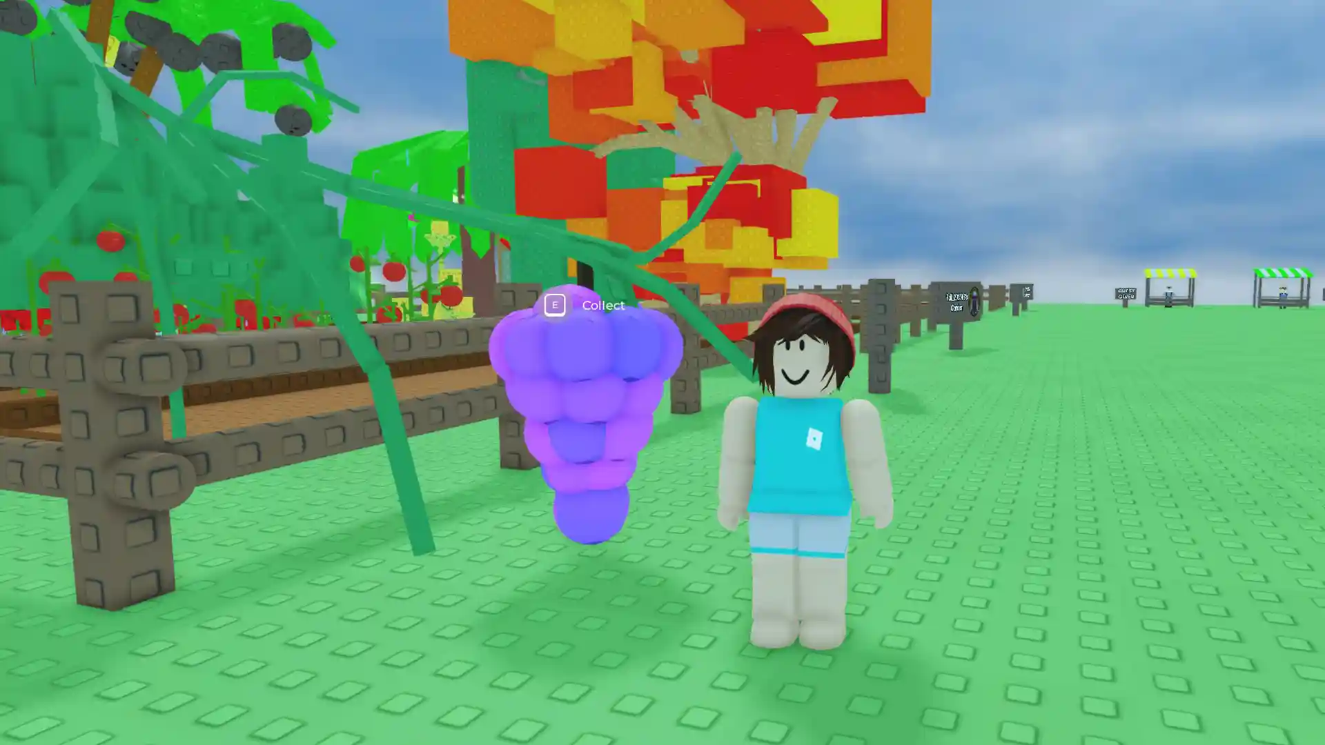 robloxは庭のブドウ作物ガイドを育てます