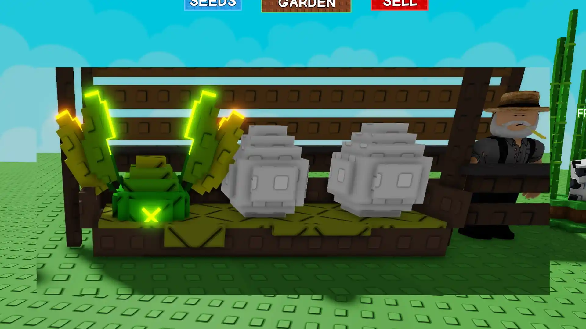 bug egg for sale