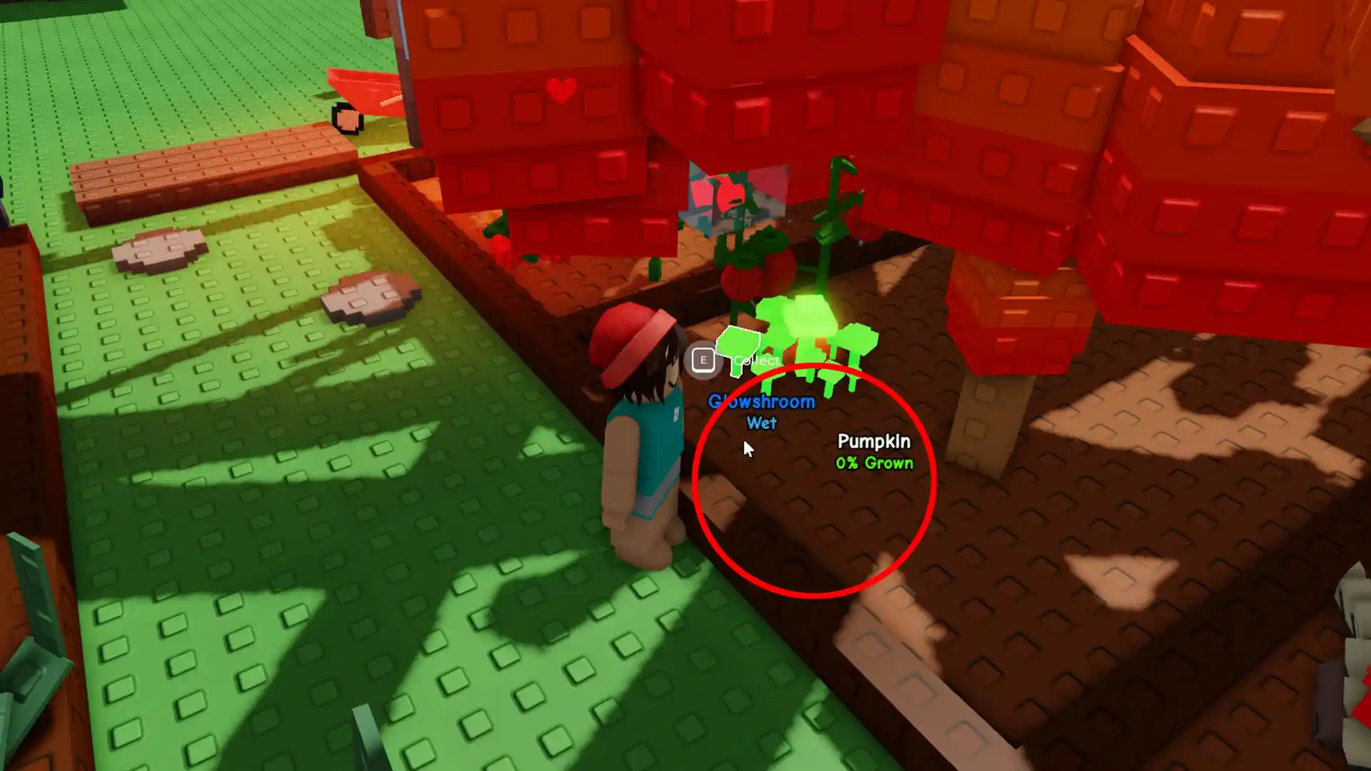 cant plant because other crop already planted