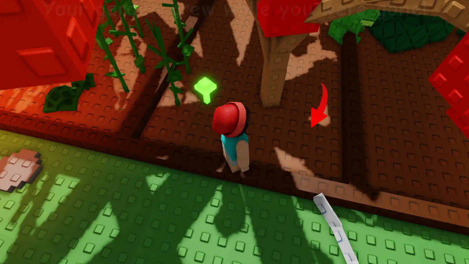 choose empty plot of land